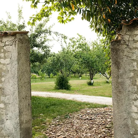 Le Clos De Bellevue Bed & Breakfast Mortagne-sur-Gironde