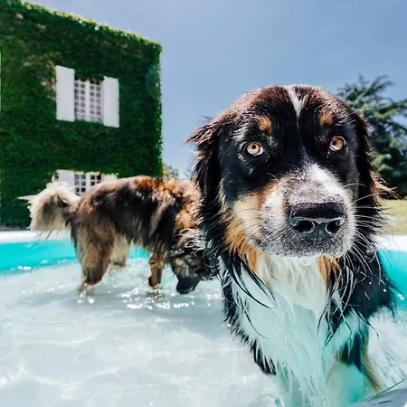 Bed & Breakfast Le Clos De Bellevue